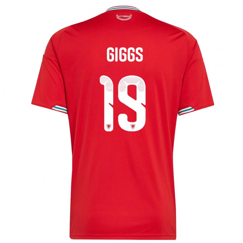 Danxen Pánské Wales Zach Giggs #19 Červená Bílá Zelená Domů Hráčské Dresy 26-28 Dres