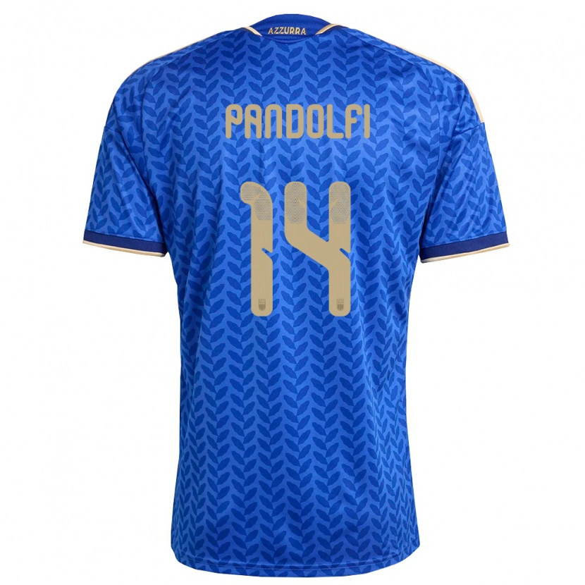 Danxen Pánské Itálie Fabio Pandolfi #14 Modrá Námořnická Zlatá Domů Hráčské Dresy 26-28 Dres