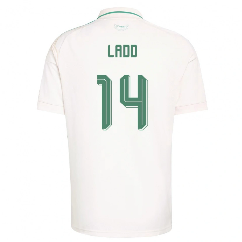 Danxen Dámské Wales Hayley Ladd #14 Bílá Hnědá Zelená Daleko Hráčské Dresy 26-28 Dres
