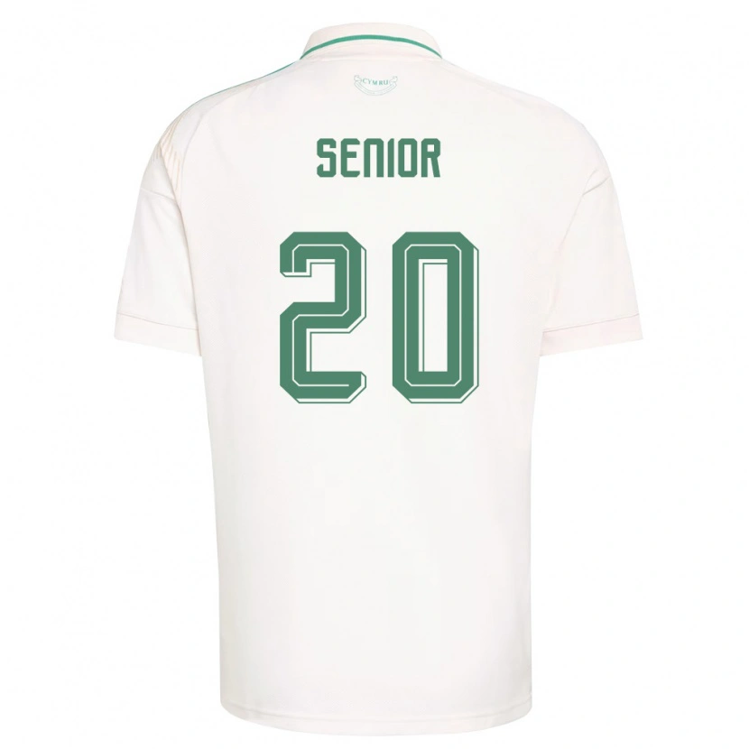 Danxen Dámské Wales Matt Senior #20 Bílá Hnědá Zelená Daleko Hráčské Dresy 26-28 Dres