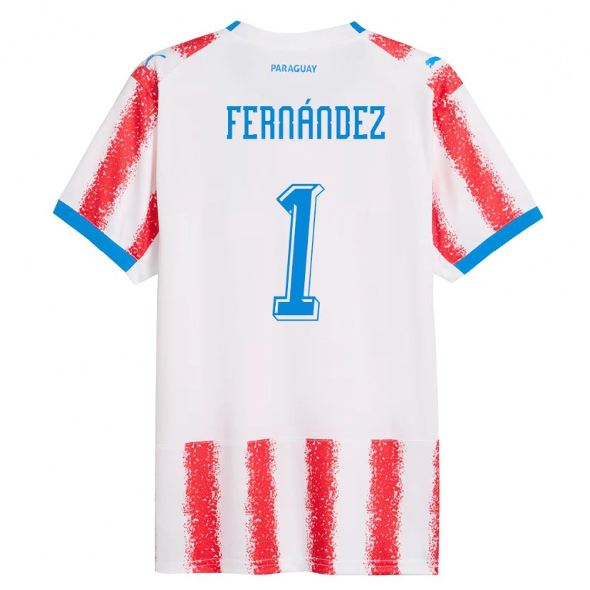 Danxen Pánské Paraguay Matías Fernández #1 Bílá Červená Modrá Domů Hráčské Dresy 26-28 Dres