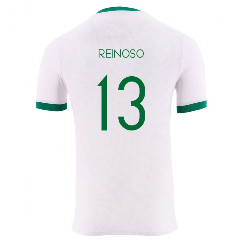 Danxen Pánské Bolívie Jair Reinoso #13 Bílá Zelená Červená Daleko Hráčské Dresy 26-28 Dres