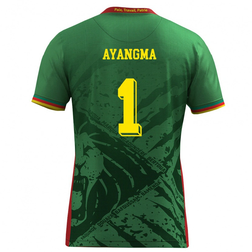 Danxen Dětské Kamerun Pauline Ayangma #1 Zelená Žlutá Červená Domů Hráčské Dresy 26-28 Dres
