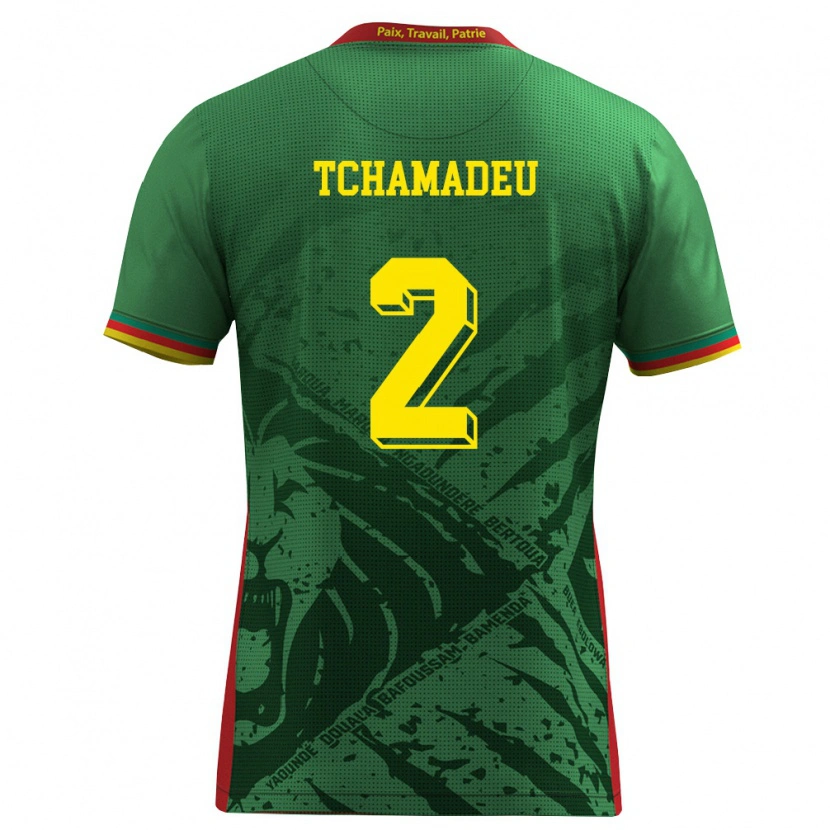 Danxen Pánské Kamerun Junior Tchamadeu #2 Zelená Žlutá Červená Domů Hráčské Dresy 26-28 Dres