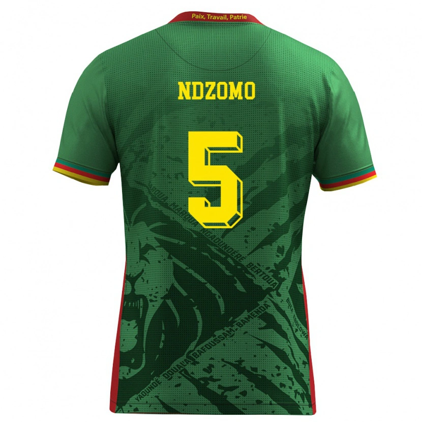 Danxen Pánské Kamerun Barnabe Ndzomo #5 Zelená Žlutá Červená Domů Hráčské Dresy 26-28 Dres