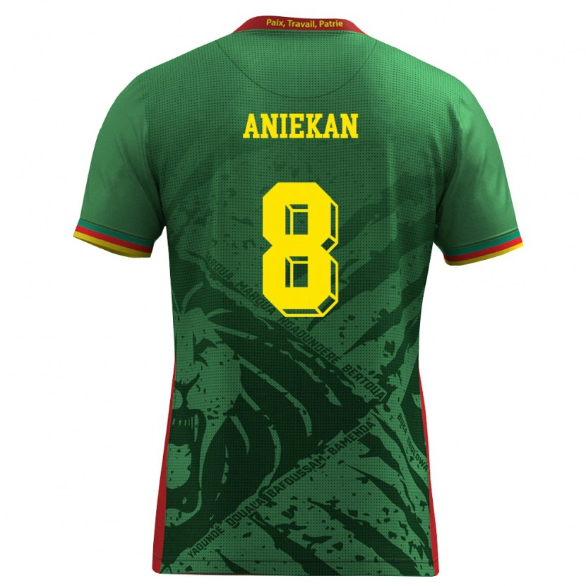 Danxen Dámské Kamerun Stephan Aniekan #8 Zelená Žlutá Červená Domů Hráčské Dresy 26-28 Dres