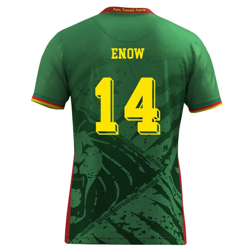 Danxen Dámské Kamerun Boris Enow #14 Zelená Žlutá Červená Domů Hráčské Dresy 26-28 Dres