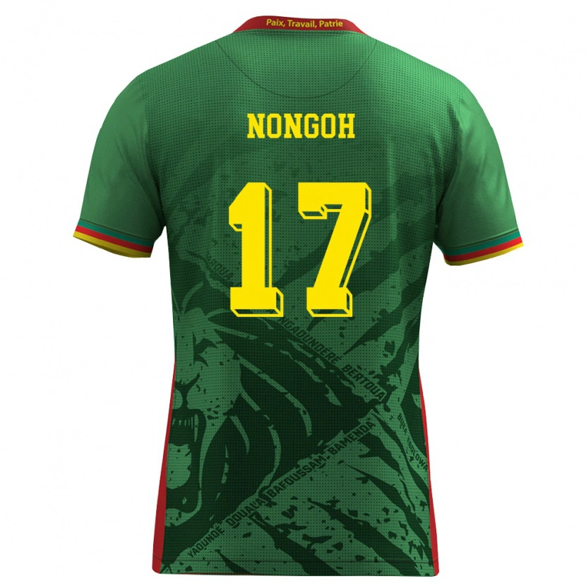 Danxen Dámské Kamerun Samuel Nongoh #17 Zelená Žlutá Červená Domů Hráčské Dresy 26-28 Dres