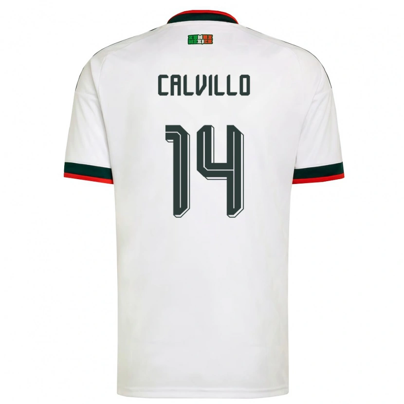 Danxen Dámské Mexiko Carlos Calvillo #14 Bílá Vínová Zelená Daleko Hráčské Dresy 26-28 Dres