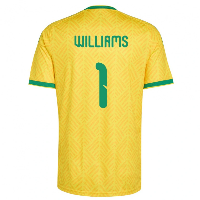 Danxen Dětské Jihoafrická Republika Ronwen Williams #1 Žlutá Zelená Domů Hráčské Dresy 26-28 Dres