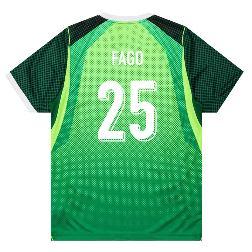 Danxen Dětské Nigérie Salim Fago Lawal #25 Zelená Bílá Domů Hráčské Dresy 26-28 Dres