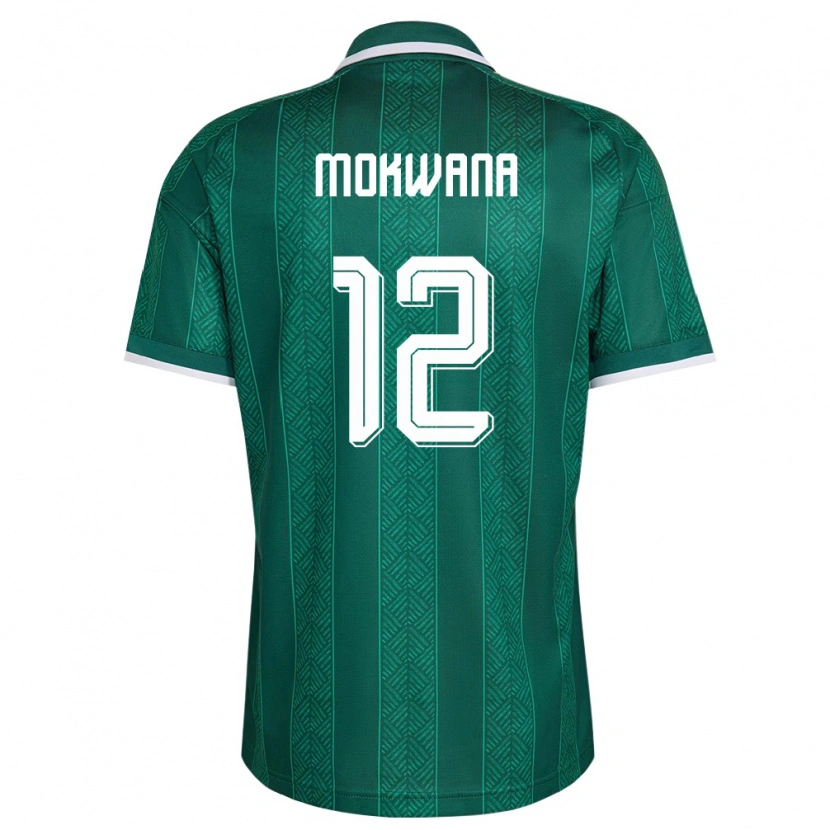 Danxen Dětské Jihoafrická Republika Elias Mokwana #12 Zelená Bílá Zlatá Daleko Hráčské Dresy 26-28 Dres