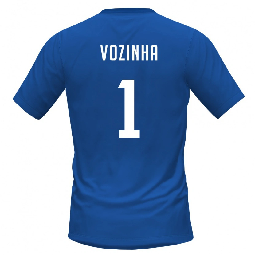 Danxen Pánské Kapverdy Vozinha #1 Královská Modrá Červená Domů Hráčské Dresy 26-28 Dres