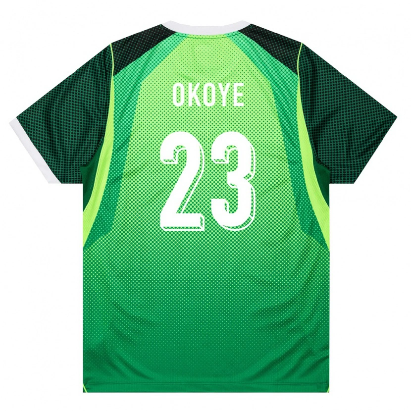 Danxen Pánské Nigérie Maduka Okoye #23 Zelená Bílá Domů Hráčské Dresy 26-28 Dres