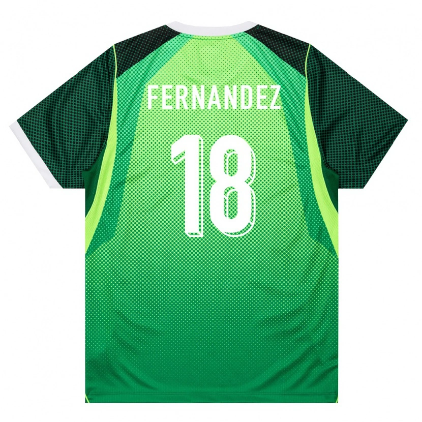 Danxen Pánské Nigérie Emmanuel Fernandez #18 Zelená Bílá Domů Hráčské Dresy 26-28 Dres