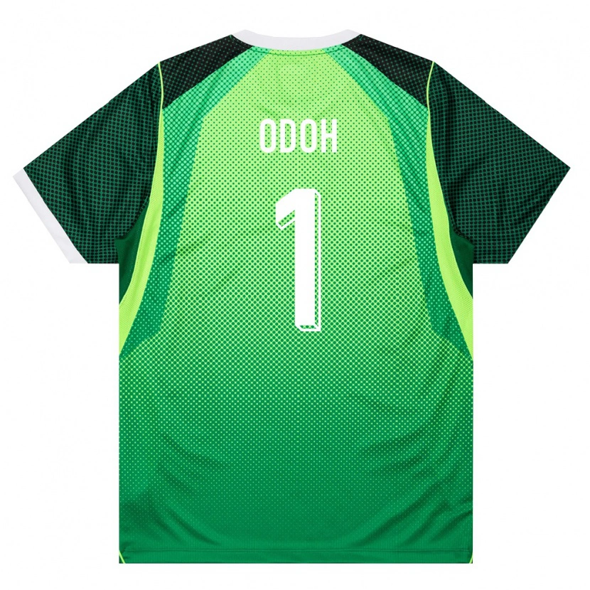 Danxen Pánské Nigérie Richard Odoh #1 Zelená Bílá Domů Hráčské Dresy 26-28 Dres