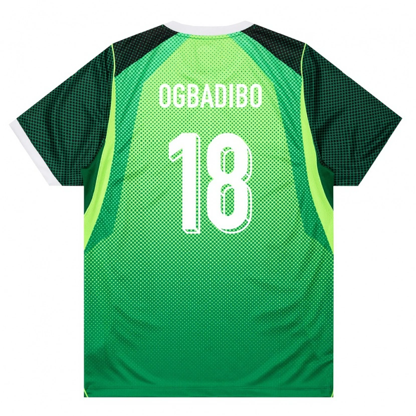 Danxen Pánské Nigérie Tochukwu Ogbadibo #18 Zelená Bílá Domů Hráčské Dresy 26-28 Dres