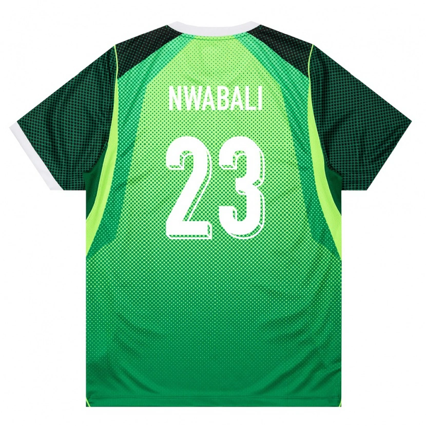 Danxen Pánské Nigérie Stanley Nwabali #23 Zelená Bílá Domů Hráčské Dresy 26-28 Dres