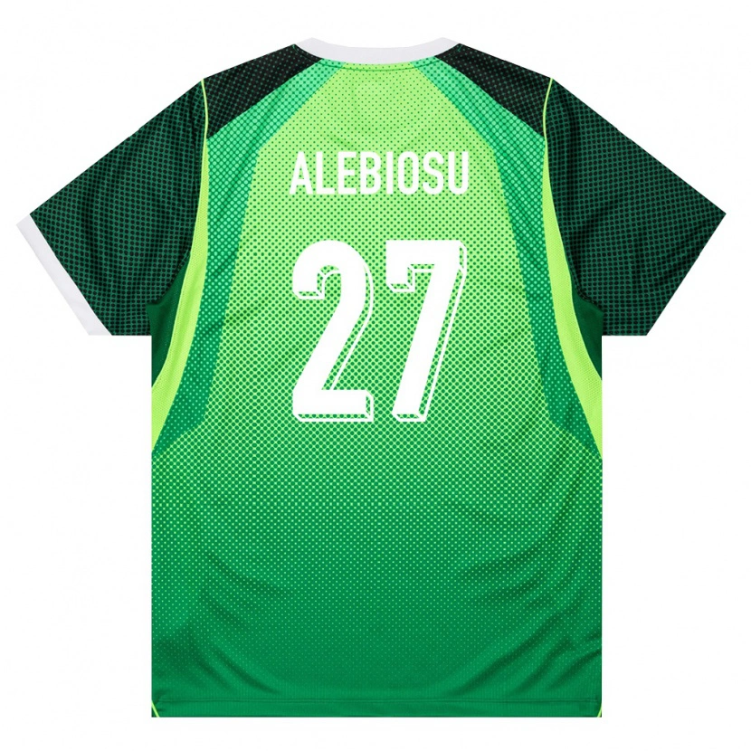Danxen Pánské Nigérie Ryan Alebiosu #27 Zelená Bílá Domů Hráčské Dresy 26-28 Dres