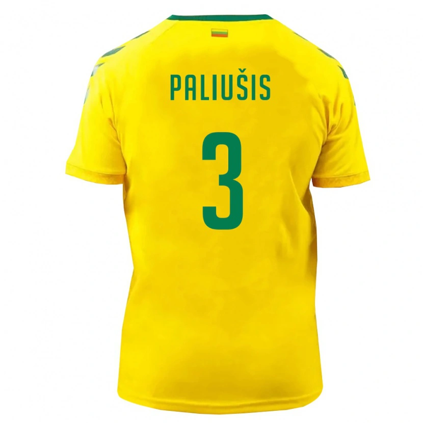 Danxen Pánské Litva Naglis Paliušis #3 Žlutá Zelená Domů Hráčské Dresy 26-28 Dres