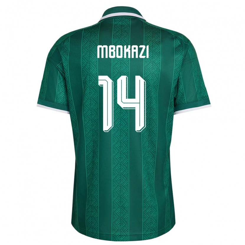 Danxen Pánské Jihoafrická Republika Mbekezeli Mbokazi #14 Zelená Bílá Zlatá Daleko Hráčské Dresy 26-28 Dres
