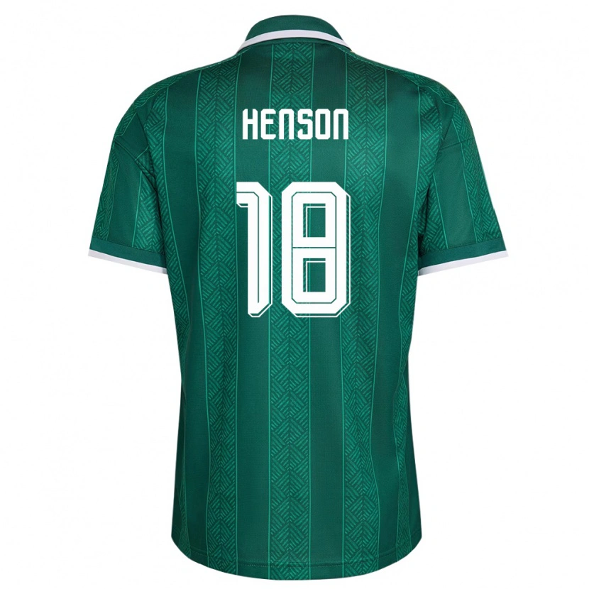 Danxen Pánské Jihoafrická Republika Will Henson #18 Zelená Bílá Zlatá Daleko Hráčské Dresy 26-28 Dres