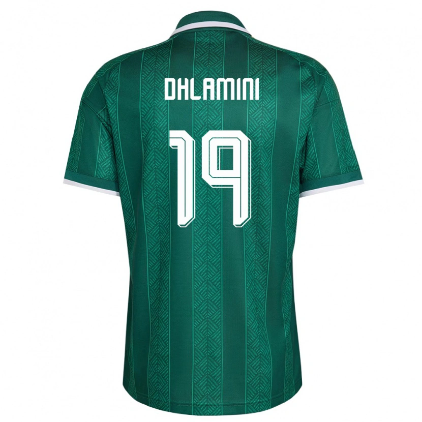 Danxen Pánské Jihoafrická Republika Lebo Dhlamini #19 Zelená Bílá Zlatá Daleko Hráčské Dresy 26-28 Dres