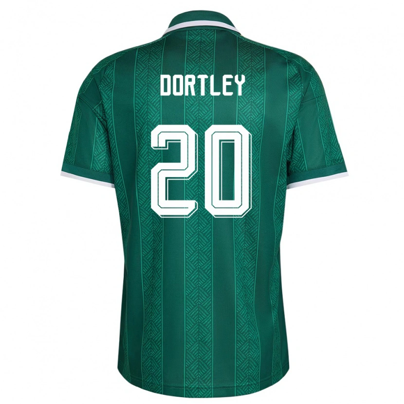 Danxen Pánské Jihoafrická Republika Rushwin Dortley #20 Zelená Bílá Zlatá Daleko Hráčské Dresy 26-28 Dres