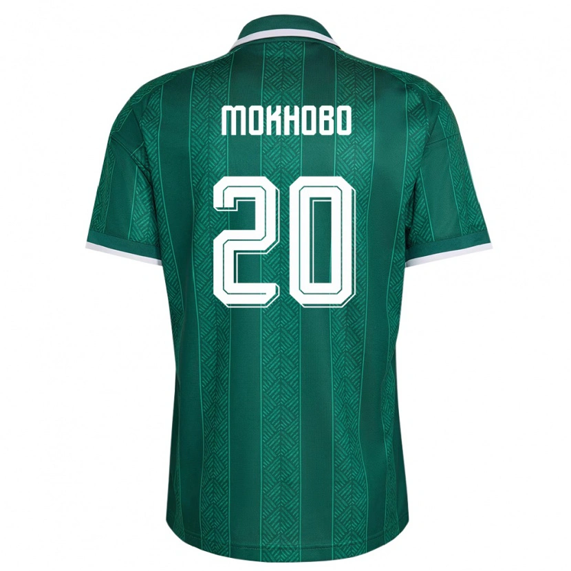 Danxen Pánské Jihoafrická Republika Sello Mokhobo #20 Zelená Bílá Zlatá Daleko Hráčské Dresy 26-28 Dres