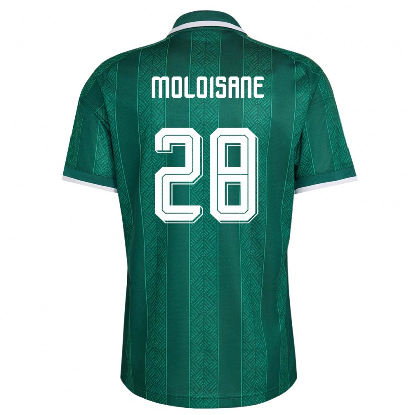 Danxen Pánské Jihoafrická Republika Thabo Moloisane #28 Zelená Bílá Zlatá Daleko Hráčské Dresy 26-28 Dres