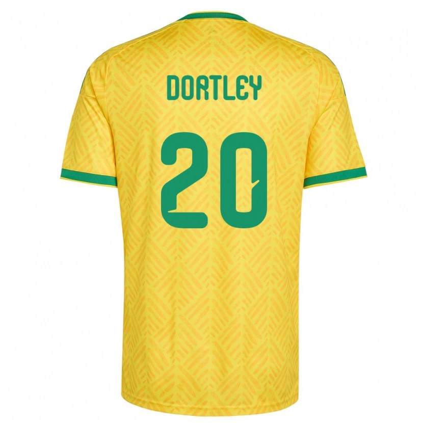 Danxen Dámské Jihoafrická Republika Rushwin Dortley #20 Žlutá Zelená Domů Hráčské Dresy 26-28 Dres