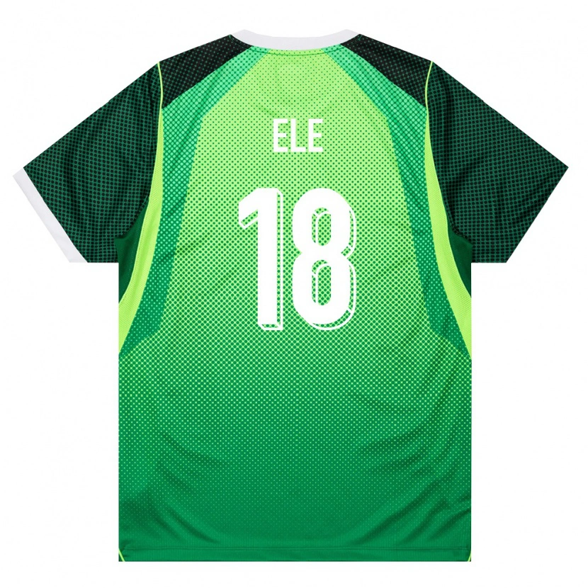 Danxen Dámské Nigérie Abdullahi Ele #18 Zelená Bílá Domů Hráčské Dresy 26-28 Dres