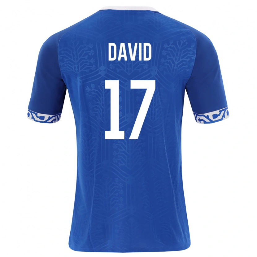 Danxen Dámské Moldavsko Ovidiu David #17 Královská Modrá Bílá Domů Hráčské Dresy 26-28 Dres