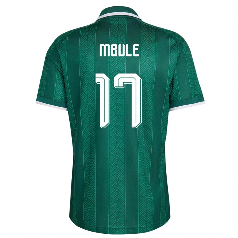 Danxen Dámské Jihoafrická Republika Sipho Mbule #17 Zelená Bílá Zlatá Daleko Hráčské Dresy 26-28 Dres