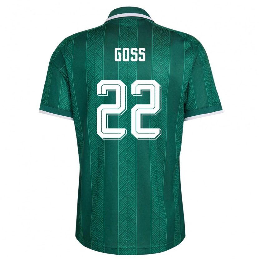 Danxen Dámské Jihoafrická Republika Ricardo Goss #22 Zelená Bílá Zlatá Daleko Hráčské Dresy 26-28 Dres