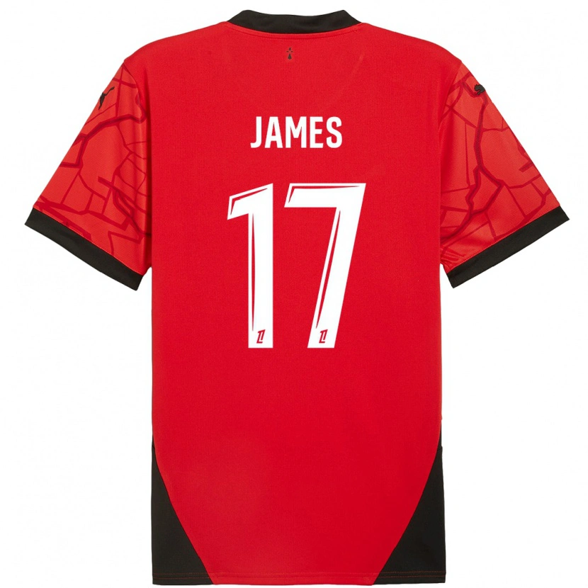 Danxen Pánské Jordan James #17 Červená Černá Domů Hráčské Dresy 2024/25 Dres