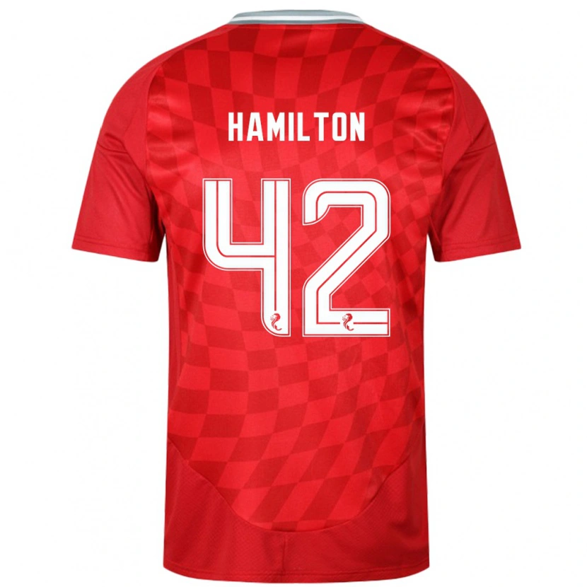 Danxen Pánské Brendan Hamilton #42 Červený Domů Hráčské Dresy 2024/25 Dres