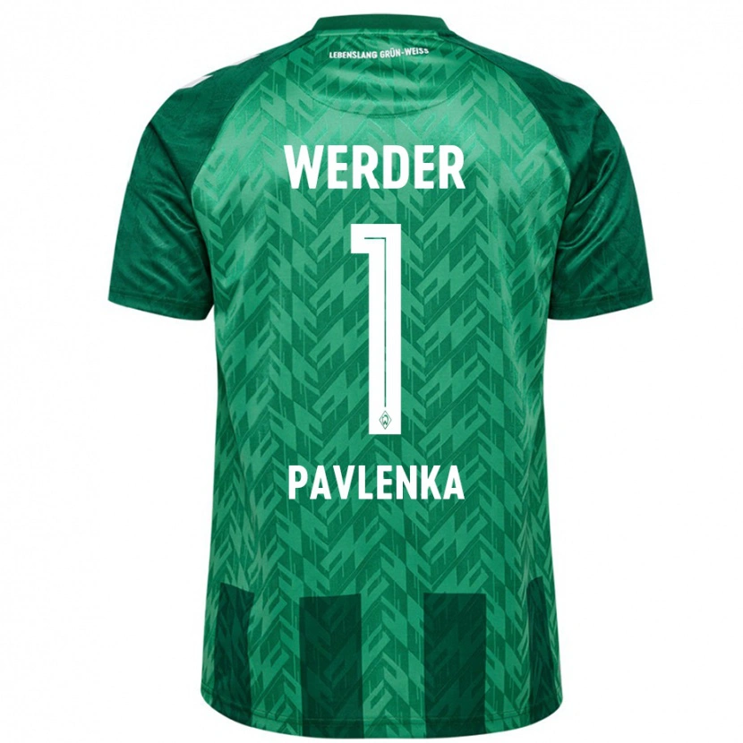 Danxen Dámské Jiri Pavlenka #1 Zelený Domů Hráčské Dresy 2024/25 Dres
