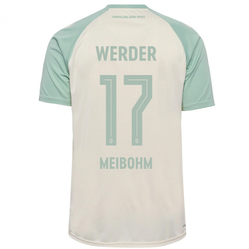 Danxen Dámské Joel Meibohm #17 Šedobílá Světle Zelená Daleko Hráčské Dresy 2024/25 Dres